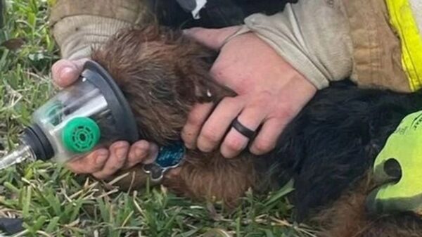 (Photo: Austin Firefighters Association)