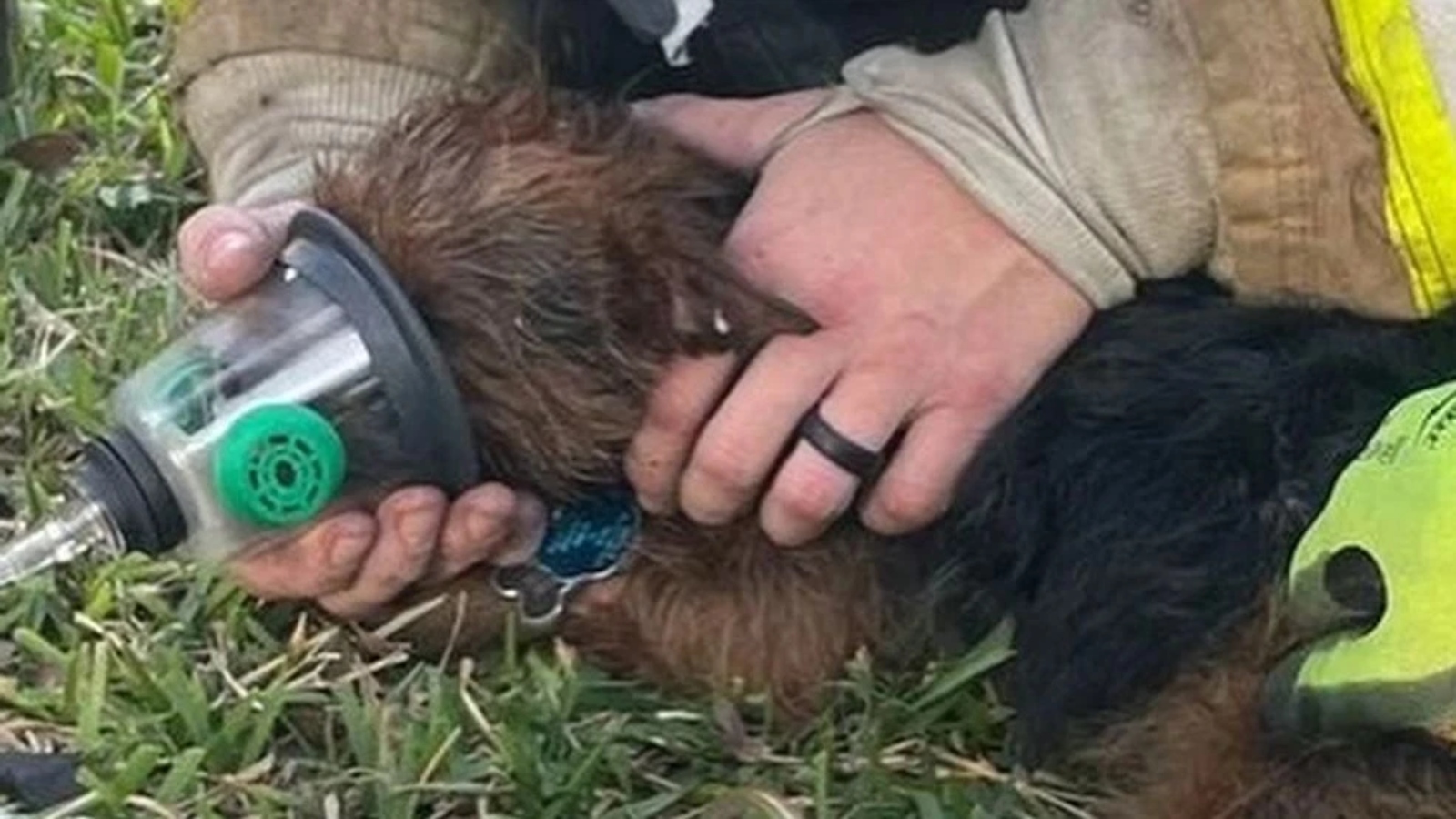 (Photo: Austin Firefighters Association)