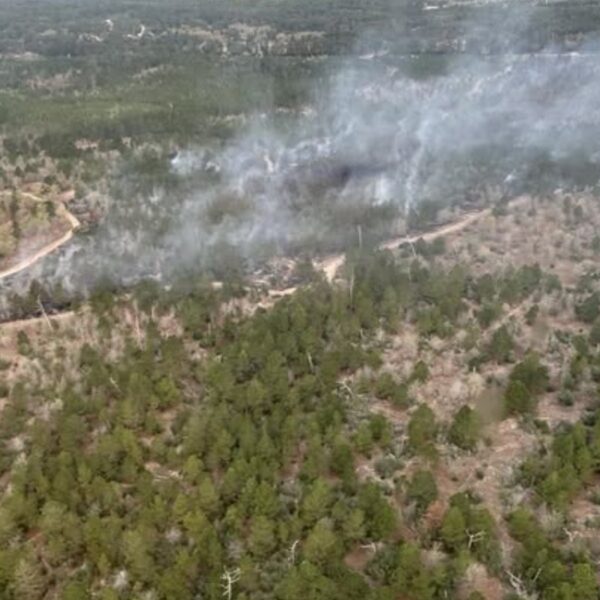 (Photo: Bastrop County Office of Emergency Management)