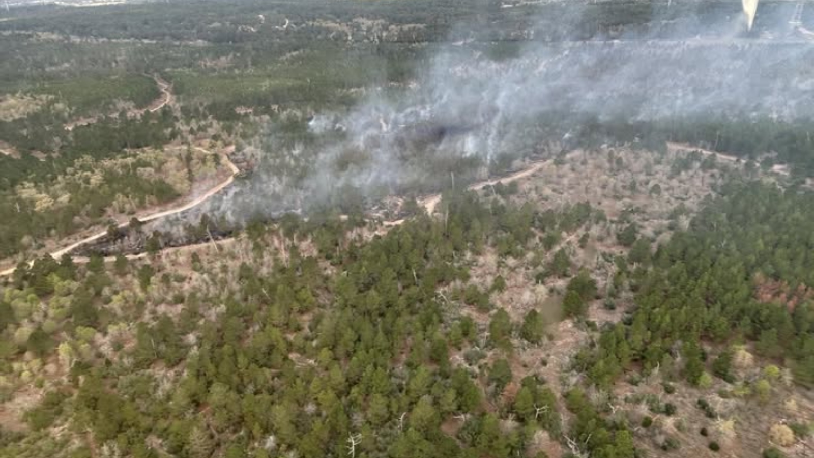 (Photo: Bastrop County Office of Emergency Management)