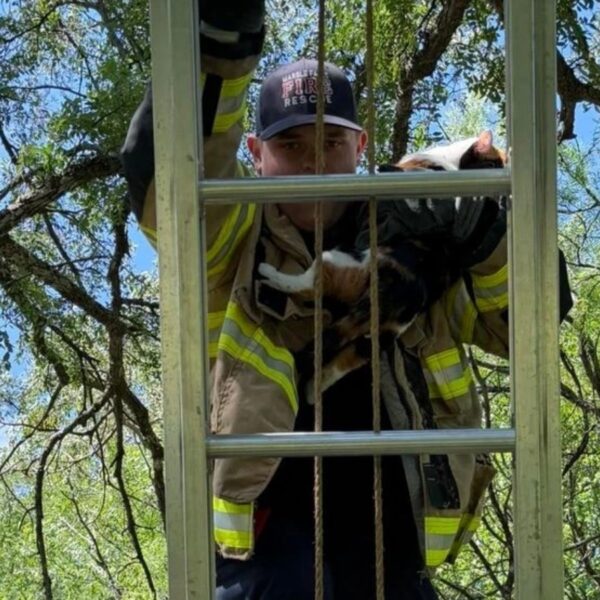 (Photo: Marble Falls Fire Rescue)