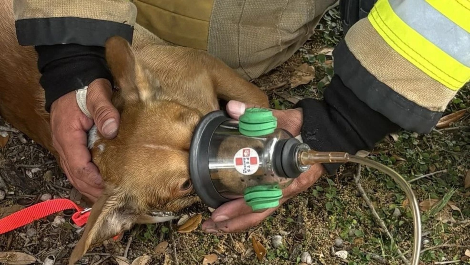 Créditos: Pflugerville Fire Department