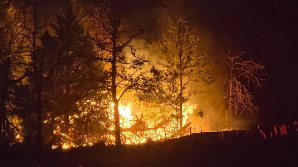 (Photo: Fayette County Sheriff's Office)