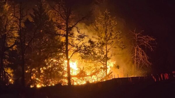 (Photo: Fayette County Sheriff's Office)