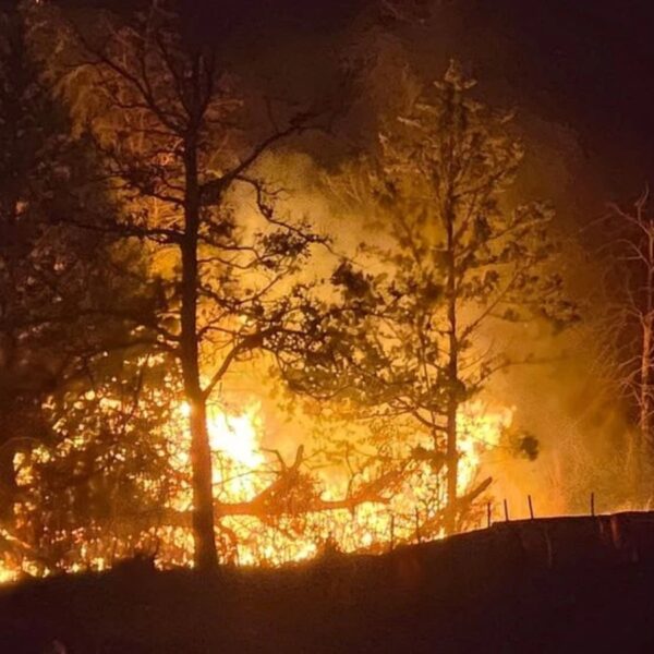 (Photo: Fayette County Sheriff's Office)