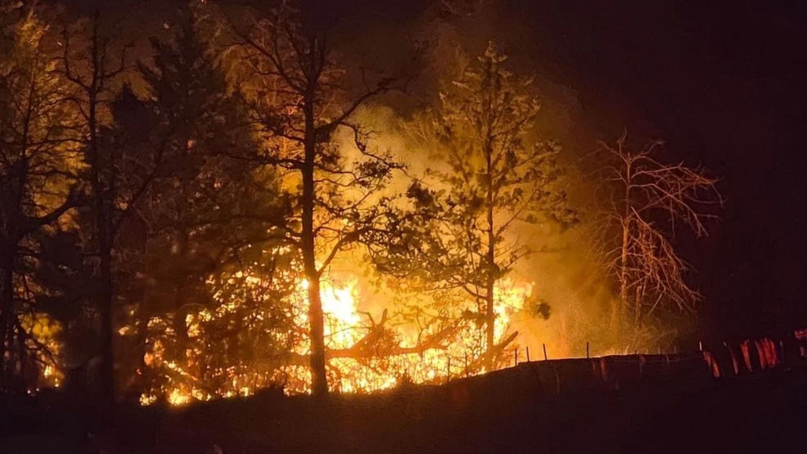 (Photo: Fayette County Sheriff's Office)