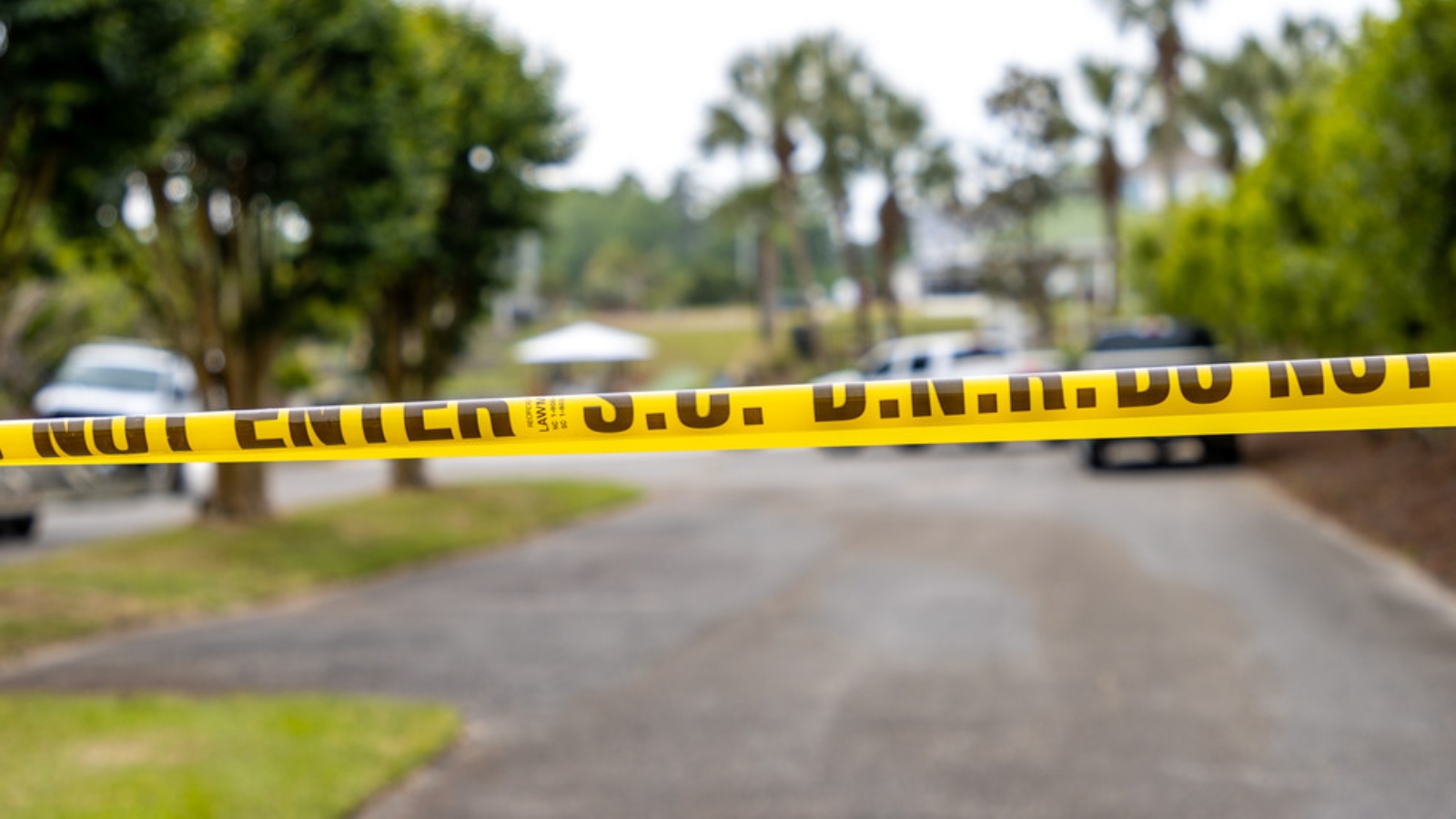 (Photo: Nick Papantonis)