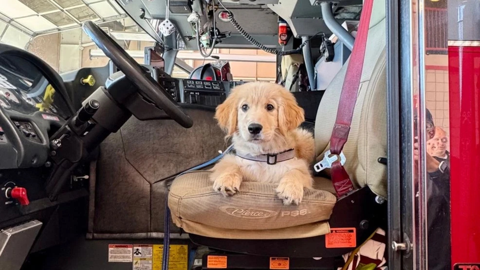 (Photo: Central Texas Public Safety Commission)