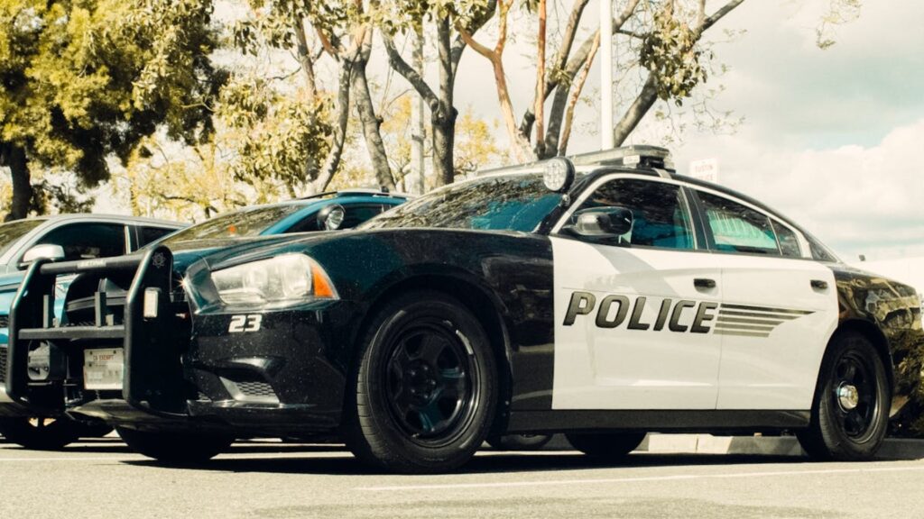 Cortesía: Kindel Media: