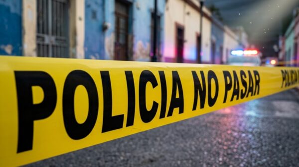 Imagen ilustrativa por Gemini