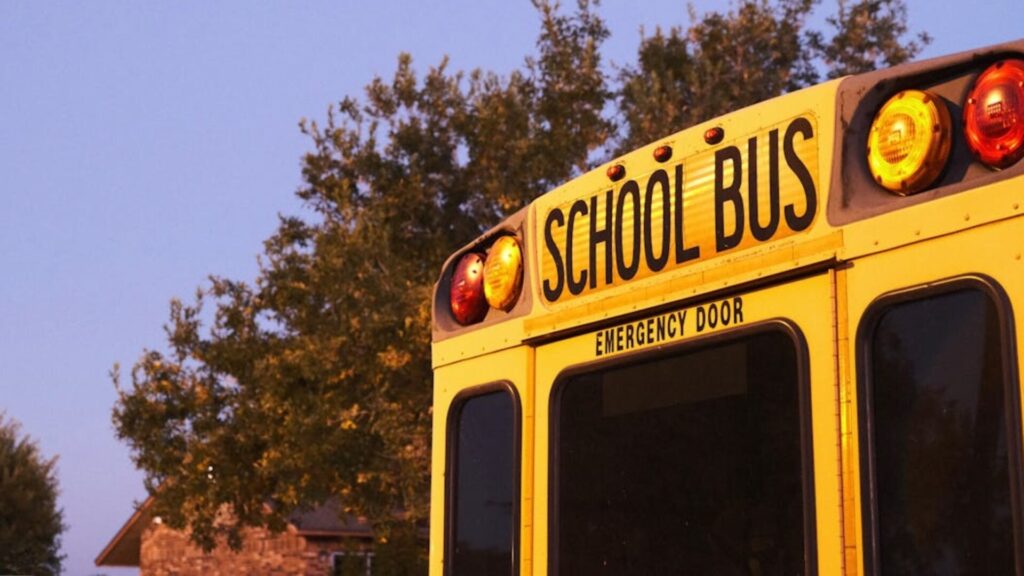 Cortesía de Jass Sosa