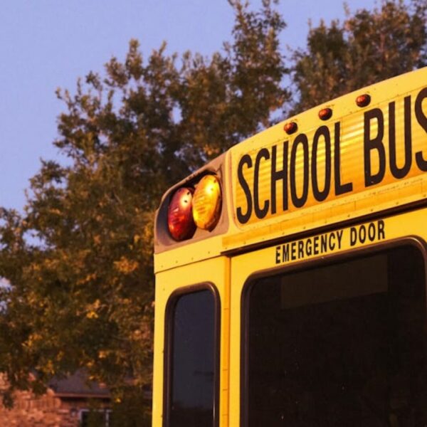 Cortesía de Jass Sosa