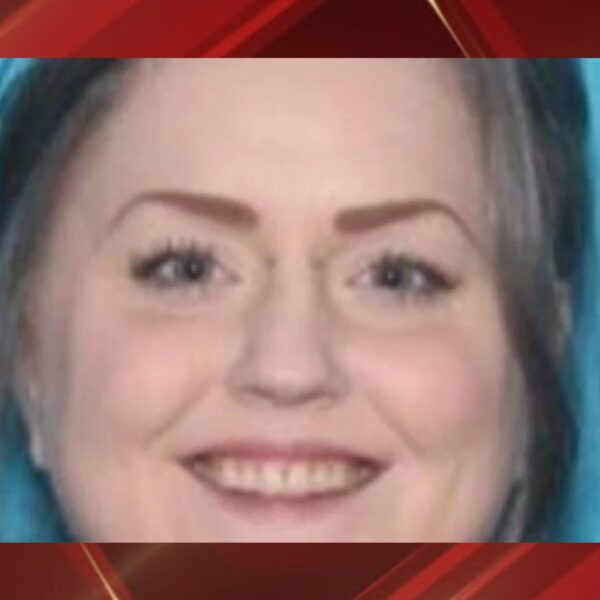 (Cortesia: ICE X page)