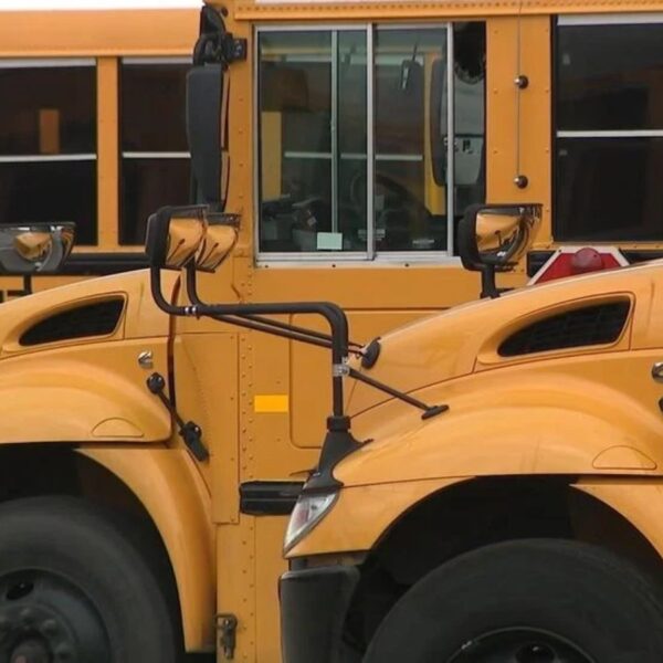 File photo of school buses