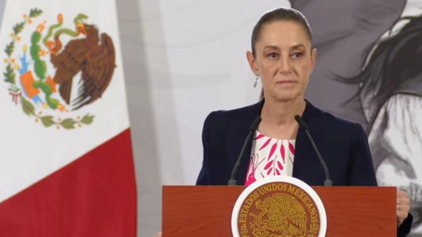 (Crédito: captura de pantalla Gobierno de México)