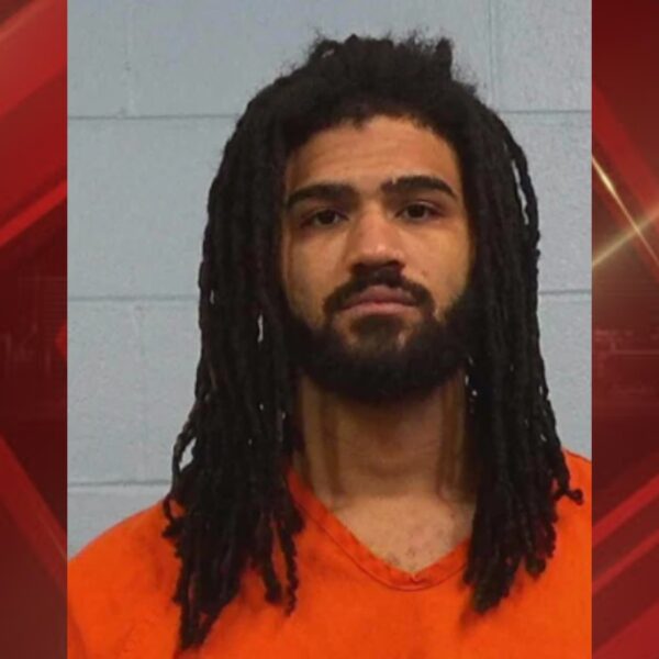 (Photo: Williamson County Sheriff's Office)