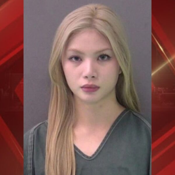 (Cortesia de Llano County Sheriff's Office)