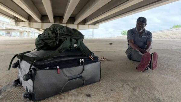 (Sam Stark/Austin Current)