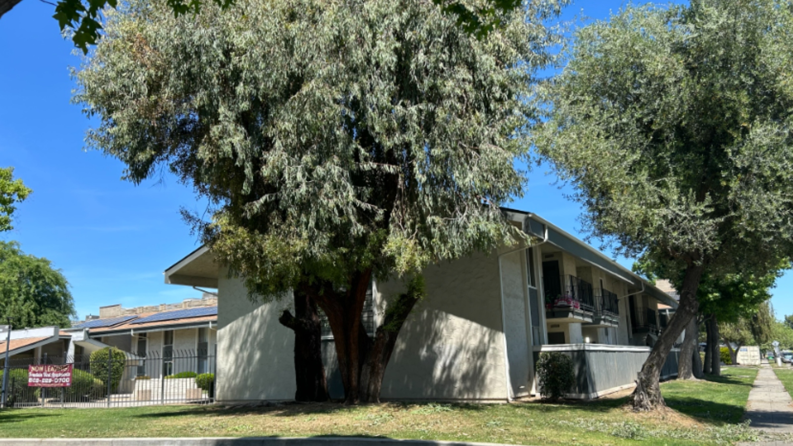 (Cortesia de FOX26 News Reporter Christina Rodriguez)