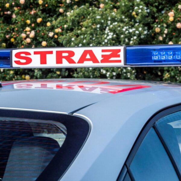 Close-up of a police/emergency vehicle roof with a blue flashing light bar and an antenna, against a backdrop of flowering hedges.