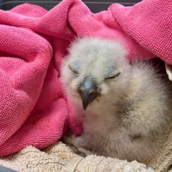 (Photo: Bettie Cross)