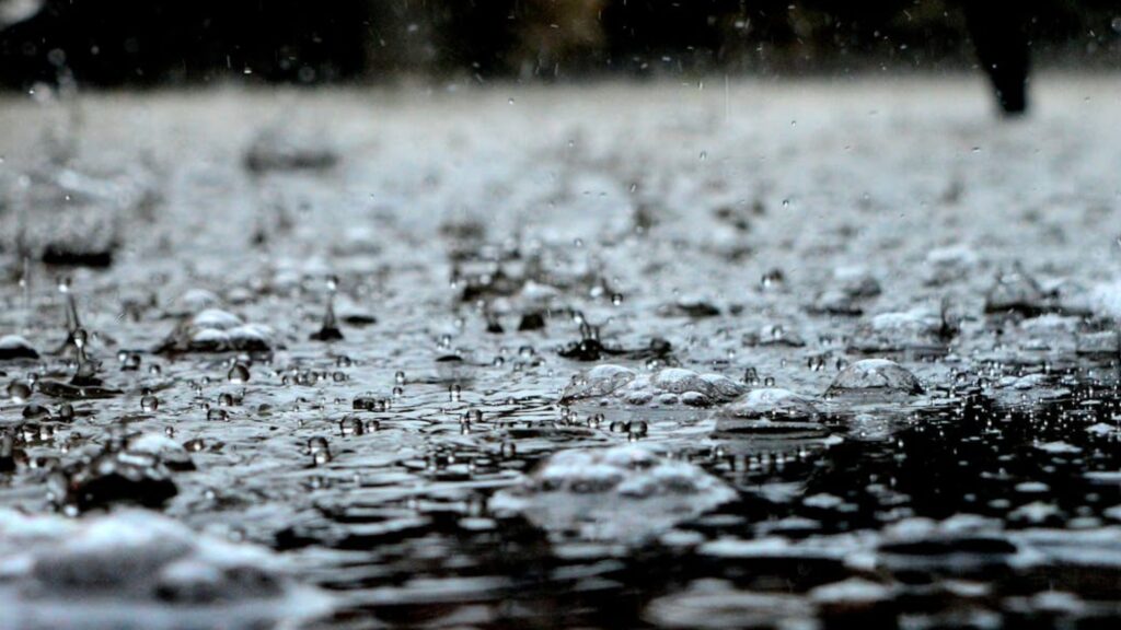 Cortesía de Pixabay