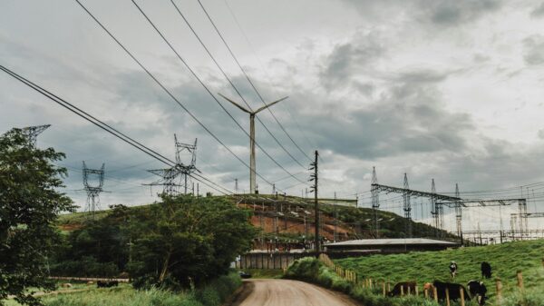 Cortesia de Andrés Góngora: