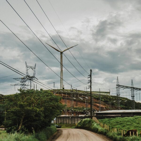 Cortesia de Andrés Góngora: