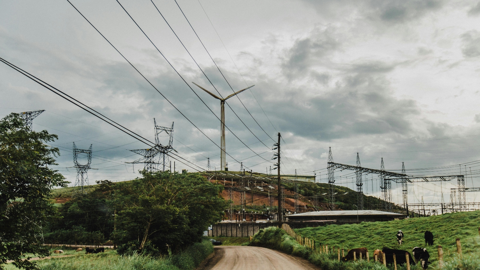 Cortesia de Andrés Góngora: