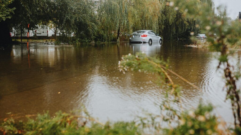 Cortesia de Helena Jankovičová Kováčová: