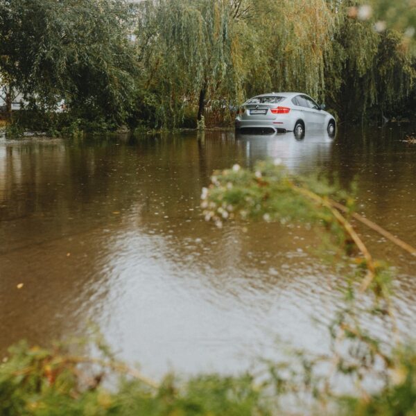 Cortesia de Helena Jankovičová Kováčová: