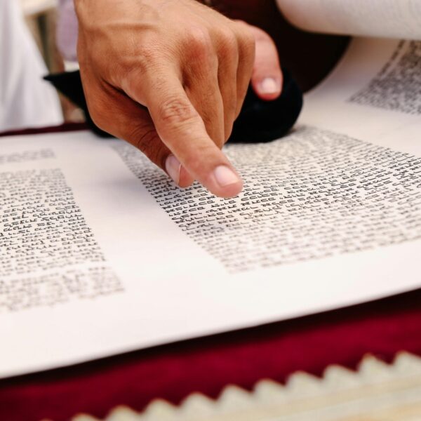 Cortesia de Maor Attias: