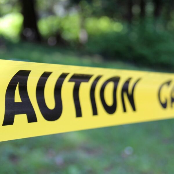 Foto de Sima Ghaffarzadeh: