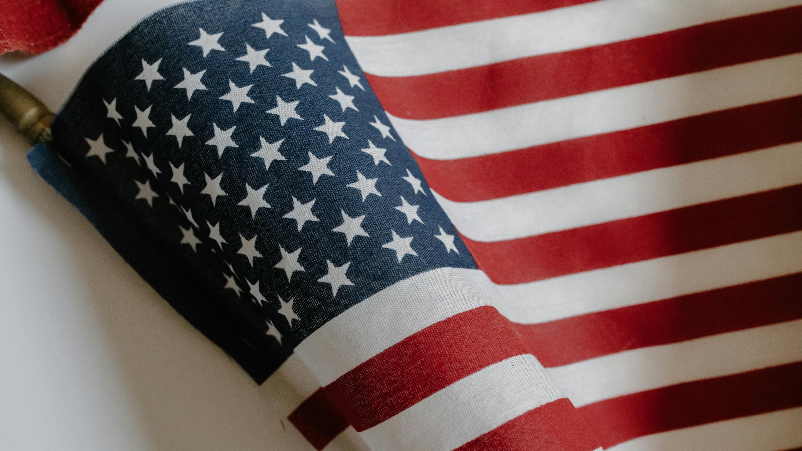 Cortesia de Tara Winstead: