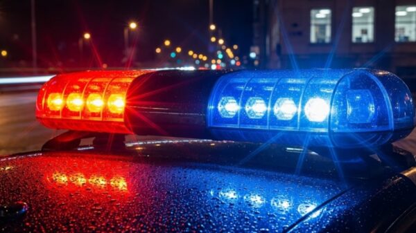 Imagen ilustrativa por Gemini