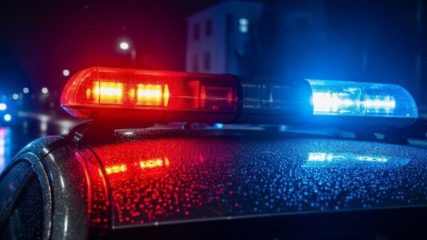 Imagen ilustrativa por Gemini