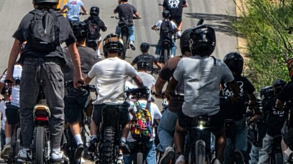 (Photo: TCSO)