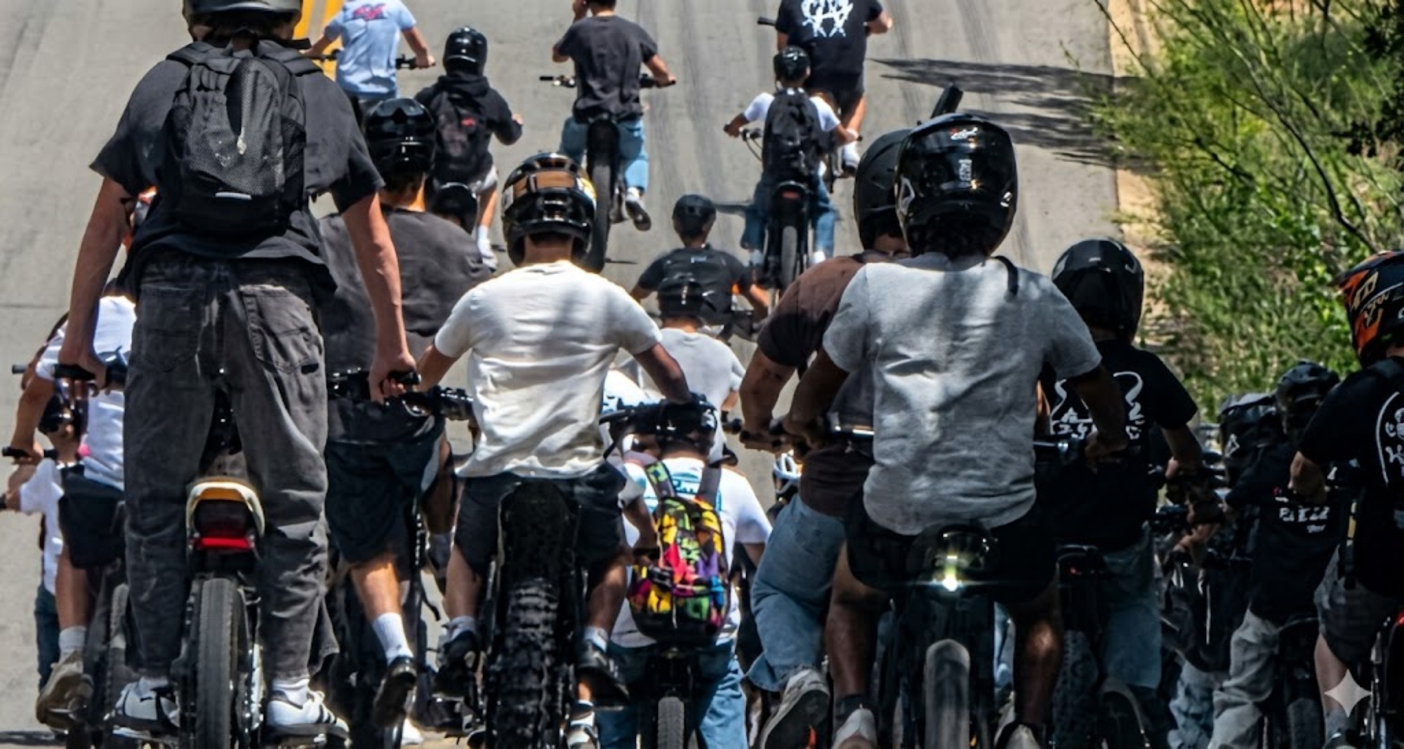 (Photo: TCSO)