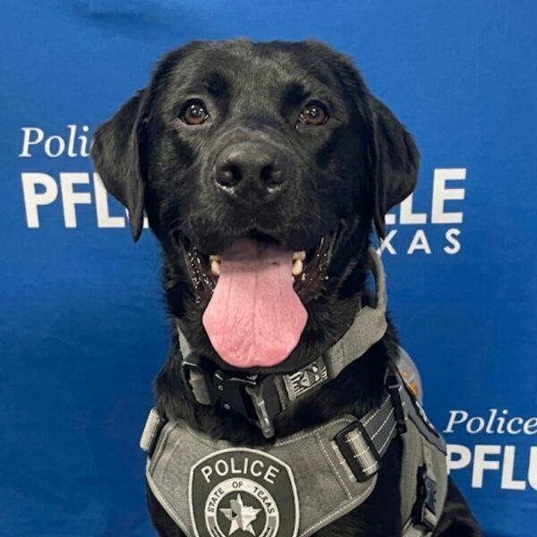 (Cortesia: Pflugerville Police Department)