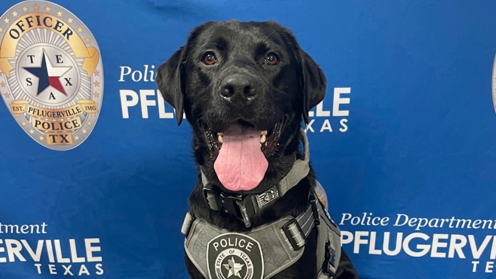 (Cortesia: Pflugerville Police Department)