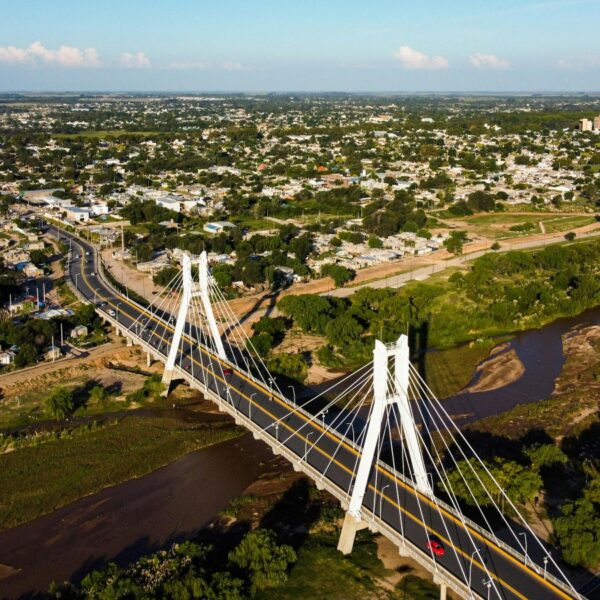 Aerial view of a white cable-stayed bridge crossing a brown river, surrounded by a green suburban landscape and city beyond.