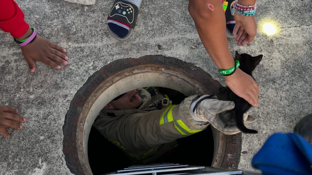 (Credit: Austin Firefighters Association)