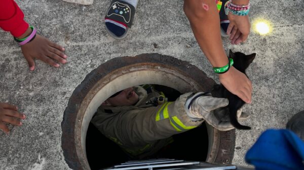 (Credit: Austin Firefighters Association)