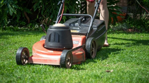 Red push lawn mower being pushed across a sunlit, well-kept green lawn, with a person’s legs visible behind it.