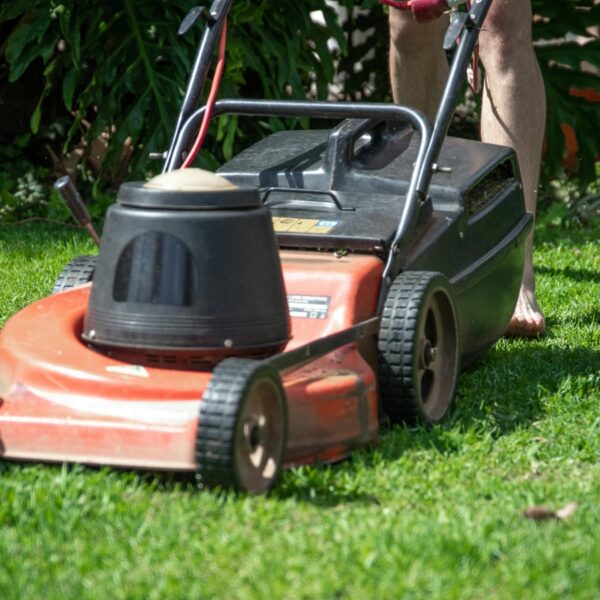 Red push lawn mower being pushed across a sunlit, well-kept green lawn, with a person’s legs visible behind it.