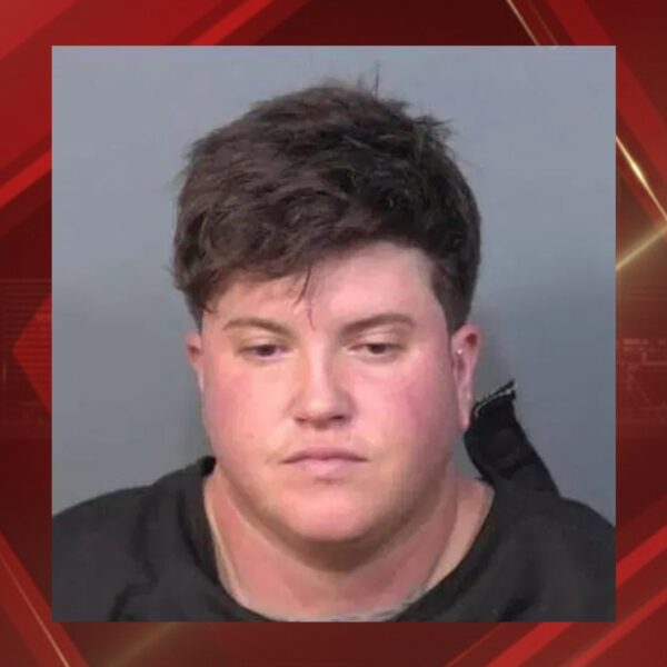 (Brevard County Sheriff)