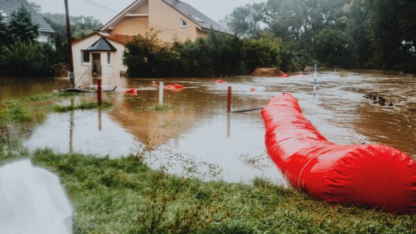 inundacion - Austin Latino Cortesía de Helena Jankovičová Kováčová: