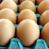 Close-up of brown eggs neatly arranged in a blue egg carton tray in a grocery display style