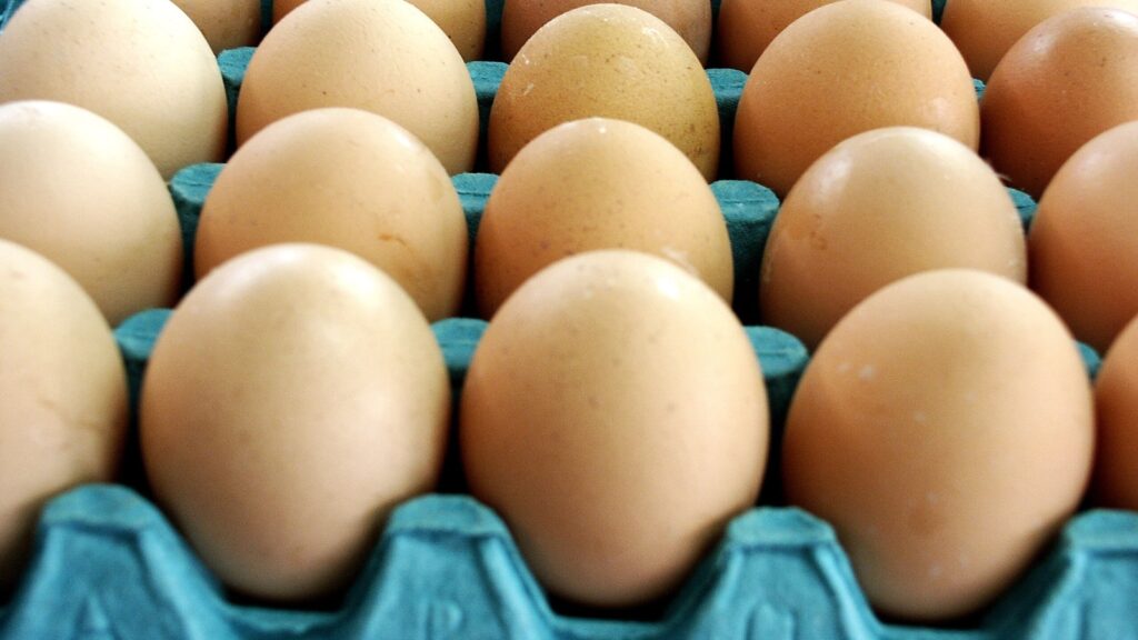 Close-up of brown eggs neatly arranged in a blue egg carton tray in a grocery display style