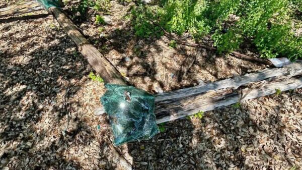 City of Austin Park Rangers (Facebook)